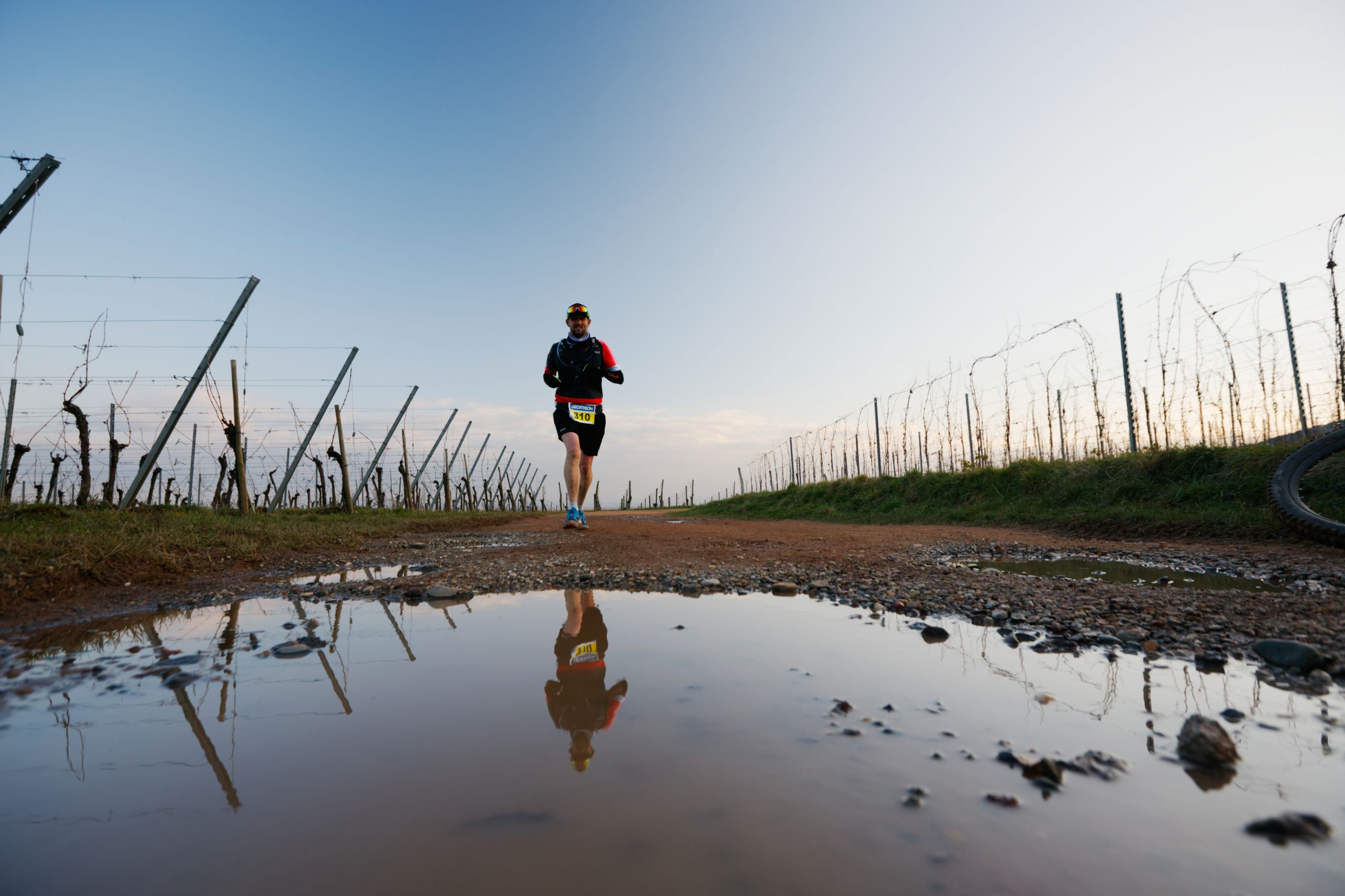 TRAIL DU VIEIL ARMAND